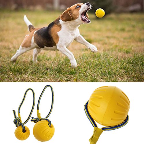 Celan Hundespielzeug / Trainingsball für Hunde, Gummiball, Kaubissfest, mit Seil (L) von Celan