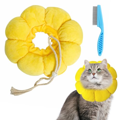 Halskrause Katze Einstellbarer Halskrause Katze Halsband Weich Halskrausen für Katzen Kleiner Hunde Nach Operation Katzenkragen Halskragen Katze für Kleine Hunde und Katzen mit 1 Stahlkamm Halskrause Katze Einstellbarer Halskrause Katze Halsband Weich Halskrausen für Katzen Kleiner Hunde Nach Operation Katzenkragen Halskragen Katze für Kleine Hunde und Katzen mit 1 Stahlkamm von Celiodd