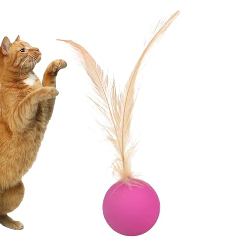 Celuicion Bälle für Katzen, Katzenballspielzeug - Innenjagdspielzeug | Sensorische Stimulationskatze mit Feder für Kätzchen Training Jagd in Indoor Outdoor Spiele Langeweile Relief Celuicion Bälle für Katzen, Katzenballspielzeug - Innenjagdspielzeug | Sensorische Stimulationskatze mit Feder für Kätzchen Training Jagd in Indoor Outdoor Spiele Langeweile Relief von Celuicion