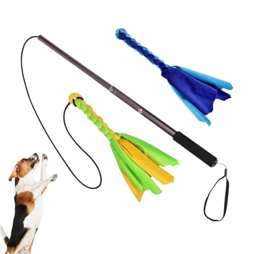 Flirtenstange für Hunde, Hund ausziehbarer Teaser Zauberstab | Erweiterbarer Welpejagd Stab | Pet Flirt Stick Pole Welpe jagt Schwanz für Hunde, die Jagd und Krieger ziehen Flirtenstange für Hunde, Hund ausziehbarer Teaser Zauberstab | Erweiterbarer Welpejagd Stab | Pet Flirt Stick Pole Welpe jagt Schwanz für Hunde, die Jagd und Krieger ziehen von Celuicion