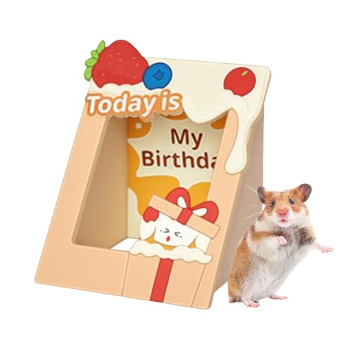Celuicion Hamster Versteck, Holz Nagertier Käfig Spielplatz, Rahmen Spielbereich Für Hamster Meerschweinchen Igel Frettchen Chinchilla Beschäftigungsmöglichkeiten Celuicion Hamster Versteck, Holz Nagertier Käfig Spielplatz, Rahmen Spielbereich Für Hamster Meerschweinchen Igel Frettchen Chinchilla Beschäftigungsmöglichkeiten von Celuicion