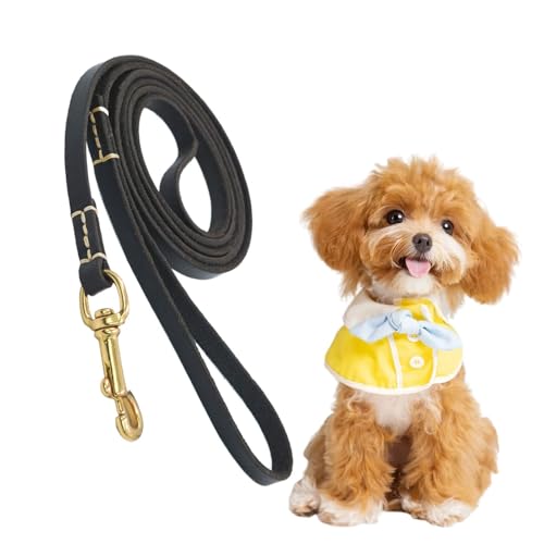 Celuicion Hundetraktionsseil, Hundewanderseil,Langes Hundesteil | Hunde Sicherheitsgürtelauto mit ergonomischem Design für das Wandertraining für mittelgroßes Tier Celuicion Hundetraktionsseil, Hundewanderseil,Langes Hundesteil | Hunde Sicherheitsgürtelauto mit ergonomischem Design für das Wandertraining für mittelgroßes Tier von Celuicion