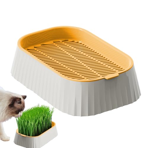 Celuicion Katzentoilette für den Innenbereich – Keimtabletts für Katzentopf und | Hydrokulturbehälter, doppellagig, Pflanzwerkzeuge, Baumschule für Keimung Celuicion Katzentoilette für den Innenbereich – Keimtabletts für Katzentopf und | Hydrokulturbehälter, doppellagig, Pflanzwerkzeuge, Baumschule für Keimung von Celuicion