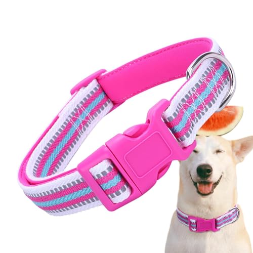 Halsband für kleine Hunde, reflektierendes Hundehalsband, verstellbare Sicherheitshalsbänder für Hunde, Halsband für Haustiere – reflektierend, bequem mit Sicherheitsschnalle für Haustiere Halsband für kleine Hunde, reflektierendes Hundehalsband, verstellbare Sicherheitshalsbänder für Hunde, Halsband für Haustiere – reflektierend, bequem mit Sicherheitsschnalle für Haustiere von Celuicion
