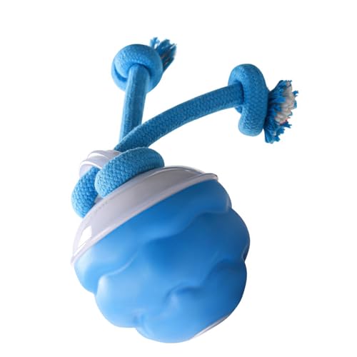 Cenifin USB Wiederaufladbare Hundespielzeug Zahnen Seilball Spielzeug Wechselwirkung Aktivierter Rolling Für Verschiedene Rassen Ansprechende Bewegung Aktivierte Hundeball Cenifin USB Wiederaufladbare Hundespielzeug Zahnen Seilball Spielzeug Wechselwirkung Aktivierter Rolling Für Verschiedene Rassen Ansprechende Bewegung Aktivierte Hundeball von Cenifin