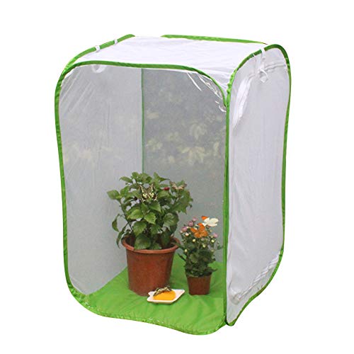 Insekten- und Schmetterlingsnetz, tragbar, zusammenklappbar, Terrarium, Pop-Up-Schmetterlingsnetz, Käfig für Kinder Insekten- und Schmetterlingsnetz, tragbar, zusammenklappbar, Terrarium, Pop-Up-Schmetterlingsnetz, Käfig für Kinder von Centeraly