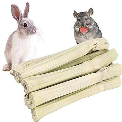 200g Bunny Sweet Bamboo, Small Pet Snacks to Grinding Teeth, Chew Toys for Guinea Pigs Chinchilla Squirrel Rabbits Hamster von Oncpcare