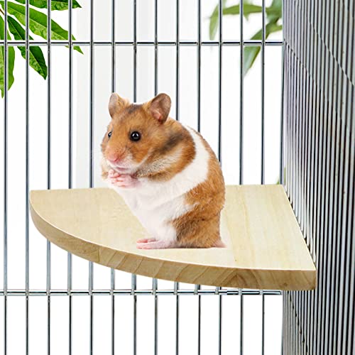 Bird Wood Perch Platform Stand Chew Toy for Parakeet Cockatiel Lovebird Conure Finch African Grey Canary Cockatoo Hamster Chinchilla Guinea Pig Gerbil Rat Cage Accessories (S: 3.94 3.94inch) von Cenyo