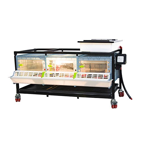 Chicken & Quail Brooder Chick Cage, Poultry Brooder, Comfortplast PVC Cages, Patented Design Chicken & Quail Brooder Chick Cage, Poultry Brooder, Comfortplast PVC Cages, Patented Design von Cenyo