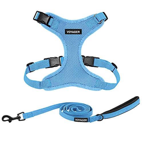 Voyager Step-in Lock Dog Harness w Reflective Dog Leash Combo Set with Neoprene Handle 5ft - Supports Small, Medium and Large Breed Puppies/Cats by Best Pet Supplies - Baby Blue, S von Best Pet Supplies