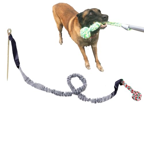 Ceolup Große, robuste Kauspielzeuge, Robustes Spielzeug für Hunde, Tauziehen-Hundezugseil, interaktives Zahnreinigungsseil für mittelgroße und große Hunde von Ceolup