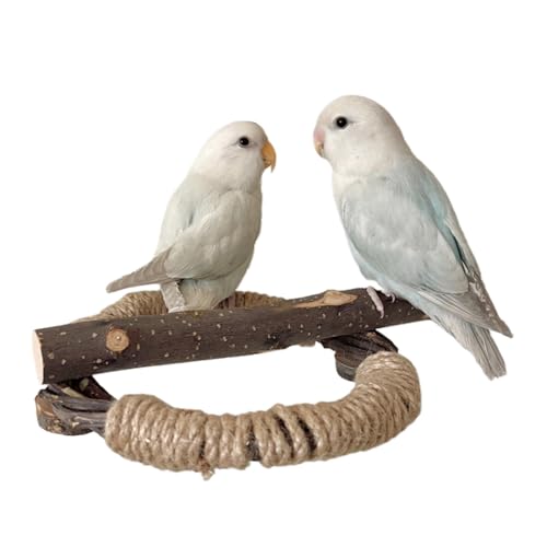 Bird Cage Perches, Wooden Perch, Pet Bird Climbing Branch with Rope, Natural Wood Material, Perfect for Climbing & Standing Training, Small & Large Sizes Bird Cage Perches, Wooden Perch, Pet Bird Climbing Branch with Rope, Natural Wood Material, Perfect for Climbing & Standing Training, Small & Large Sizes von Ceprznvey