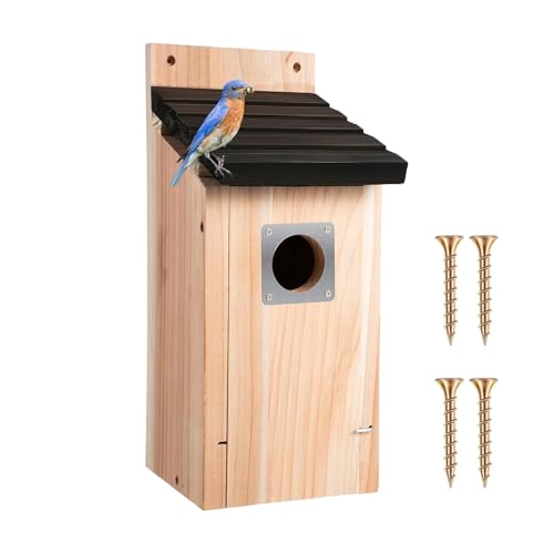 Ceprznvey Haus für Kolibris, Vogelhaus, zum Aufhängen, aus Naturholz, dekorativ, wasserdicht, aus Holz, für Haus, , Balkon, Baum, Rasen, Garten, Hof und Innen Ceprznvey Haus für Kolibris, Vogelhaus, zum Aufhängen, aus Naturholz, dekorativ, wasserdicht, aus Holz, für Haus, , Balkon, Baum, Rasen, Garten, Hof und Innen von Ceprznvey