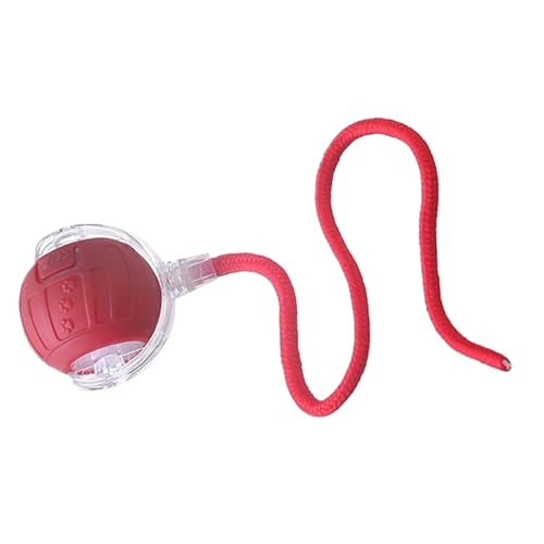 Ceprznvey Interaktives Katzenspielzeug, automatisches Katzenspielzeug, elektrisches Quiet Smart Ball mit Rope für drinnen und draußen Übungen, Boredom Relief, Hunting Simulation, 40 x 6 x 7 x 6 cm Ceprznvey Interaktives Katzenspielzeug, automatisches Katzenspielzeug, elektrisches Quiet Smart Ball mit Rope für drinnen und draußen Übungen, Boredom Relief, Hunting Simulation, 40 x 6 x 7 x 6 cm von Ceprznvey