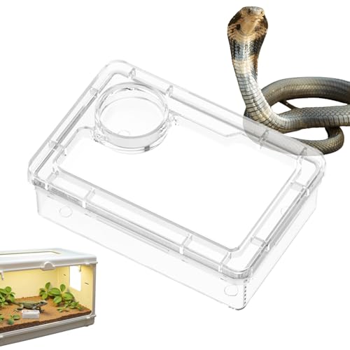 Ceprznvey Wasserschale für Reptilien – Futterschale für Barbudrachen – Terrarium-Zubehör für Futter Chamäleon Eidechse Gecko Spinne Ceprznvey Wasserschale für Reptilien – Futterschale für Barbudrachen – Terrarium-Zubehör für Futter Chamäleon Eidechse Gecko Spinne von Ceprznvey
