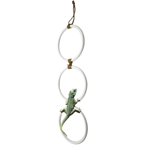 Snake Enrichment Rings, Reptile Climbing Toy, Corn Snake Accessories, Interactive Swing Design, Flexible Hanging Structure, Amphibian Habitat or Indoor Terrarium, 4.5x16.5 Snake Enrichment Rings, Reptile Climbing Toy, Corn Snake Accessories, Interactive Swing Design, Flexible Hanging Structure, Amphibian Habitat or Indoor Terrarium, 4.5x16.5 von Ceprznvey