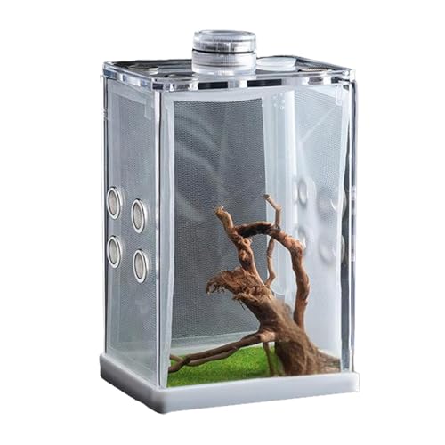 Spider Box, Fish Tanks, Feeding Container Small Reptiles Aquatic Pets Secure Enclosure Sturdy Build Compact Size Easy Access Convenient, Spider Cage for Pets von Ceprznvey