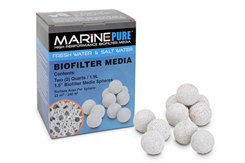 CerMedia MarinePure Bio-Filtermedien für Salz- und Süßwasseraquarien, 3,8 cm, 2 Quart von CerMedia MarinePure