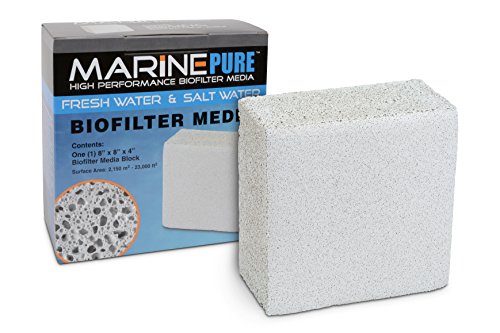 CerMedia MarinePure Block Bio-Filtermedium für Salz- und Süßwasseraquarien, 20,3 x 20,3 x 10,2 cm von MarinePure