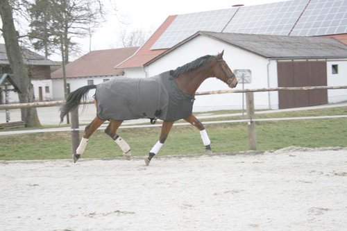 Ceratex Abschwitzdecke schwarz 155cm von Ceratex