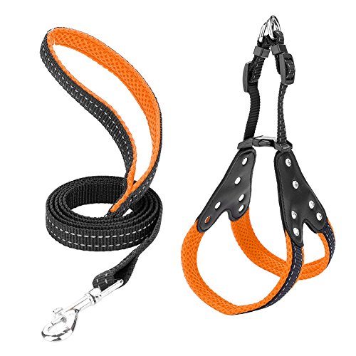 Shanbor Bling Bling Hochwertige Seil Haustiere Riemen, Atmungsaktive Haustiere(Orange, S) von Cerlingwee