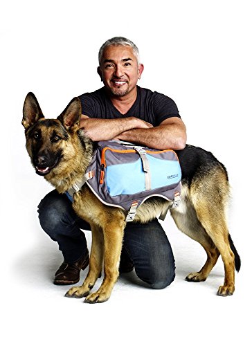 Cesar Millan Dog Backpack™ - Hunderucksack des Hundeflüsterers Cesar Millan™ von Cesar Millan