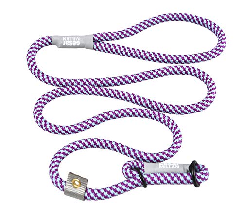 Cesar Millan Leine - Trainingsleine für Hunde - 2in1 Halsband Hund und Leine - Slip Lead - Retrieverleine mit integrierter Halsung (Small/Medium - Farbe: Aqua/Lila) - Länge 120 cm, Durchmesser 1 cm von Cesar Millan