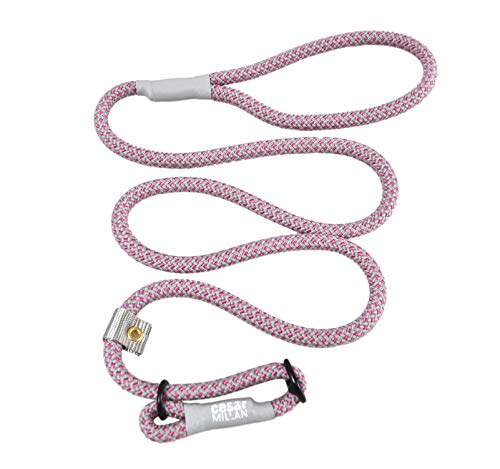 Cesar Millan Slip Lead Leash™ – Trainingsleine mit Schlupfkragen gibt Ihnen mehr Kontrolle und die Fähigkeit, schnelle und sanfte Korrekturen vorzunehmen (regulär, Rosa/Grau) Cesar Millan Slip Lead Leash™ – Trainingsleine mit Schlupfkragen gibt Ihnen mehr Kontrolle und die Fähigkeit, schnelle und sanfte Korrekturen vorzunehmen (regulär, Rosa/Grau) von Cesar Millan