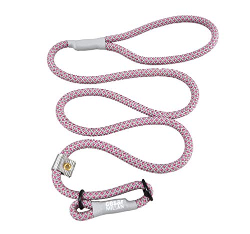 Cesar Millan Slip Lead Leash™ – Schlupfhalsband Trainingsleine gibt Ihnen mehr Kontrolle und die Fähigkeit, schnelle und sanfte Korrekturen vorzunehmen (normal, Rosa/Grau) von Cesar Millan