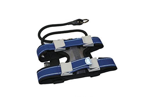 Cesar Millan Pack Leader Collar - Trainingshalsband des Hundeflüsterers Cesar Millan Pack Leader Collar - Trainingshalsband des Hundeflüsterers von Cesar Millan