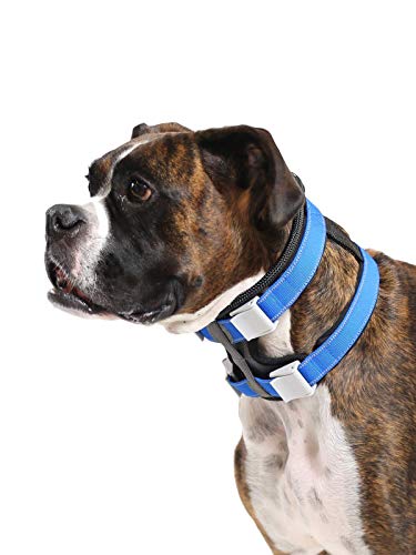 Cesar Millan Pack Leader Collar™ - Trainingshalsband des Hundeflüsterers (Mittel, Blau) von Cesar Millan