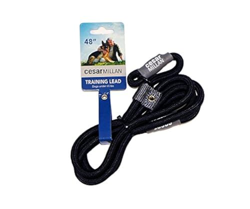 Cesar Millan Slip Lead Leash™ – Schlupfhalsband Trainingsleine gibt Ihnen mehr Kontrolle und die Fähigkeit, schnelle und sanfte Korrekturen vorzunehmen, normal, Schwarz von Cesar Millan