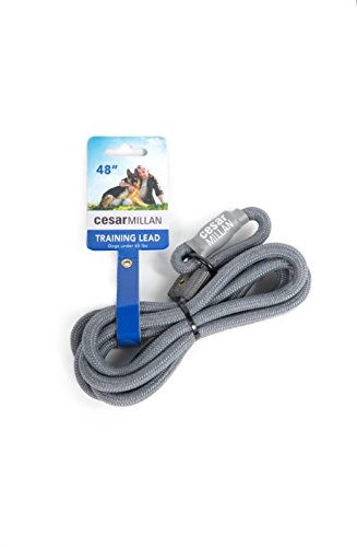 Cesar Millan Trainingsleine für Hunde (Small/Medium) - Länge 120 cm, Durchmesser 1 cm von Cesar Millan