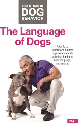 Hundeflüsterer Cesar Millan Leine Hundehalsband Illusion Collar Schwarz gewebte weiche Baumwolle inkl. Socialization DVD Hunde Sozialisierung Grundlagen der Hundeerziehung Essentials of Dog Behavior Hundeflüsterer von Cesar Millan