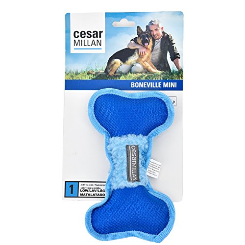 Offizielles Cesar Millan Boneville Kauspielzeug für Hunde und Leckerli-Spender (M) von Cesar Millan