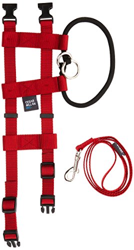 Original Illusion Collar Trainingshalsband & Leine des amerikanischen Hundeflüsterer Cesar Millan, Größe Small, Rot von Cesar Millan