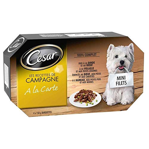 CESAR Barquettes Mini filets en sauce - 4 variétés - Pour chien adulte - 4 x 150 g von Cesar
