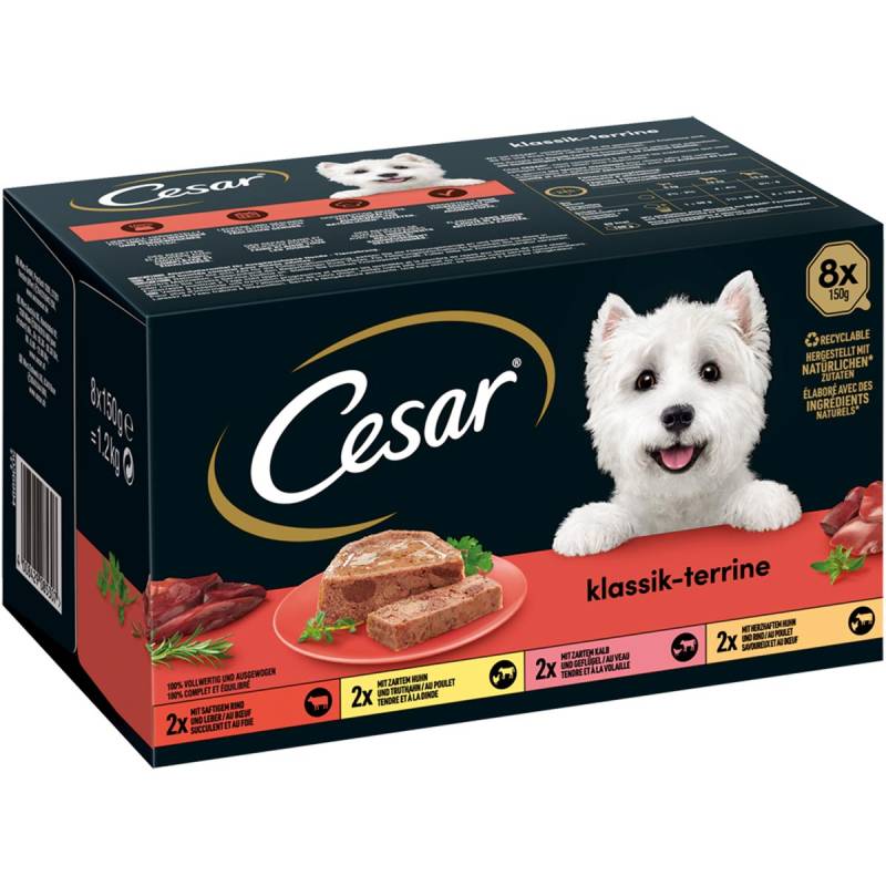 CESAR Klassik-Terrine 4 Varietäten 64x150g von Cesar