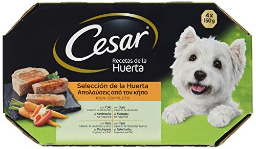 CESAR Multipack Terrine du Jardin Pour Chien - 4 x 150 g CESAR Multipack Terrine du Jardin Pour Chien - 4 x 150 g von César