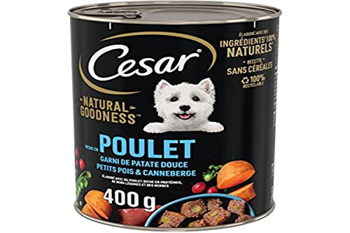 CESAR Natural Goodness – 6 Dosen à 400 g – Terrine für ausgewachsene Hunde, reich an Huhn, gefüllt mit Süßkartoffel, Erbsen & Preiselbeeren, feuchtes Hundefutter ohne Getreide von Cesar