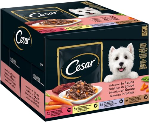 CESAR Portionsbeutel Multipack Selektion in Sauce 4 Varietäten 1x 24x100g von Cesar