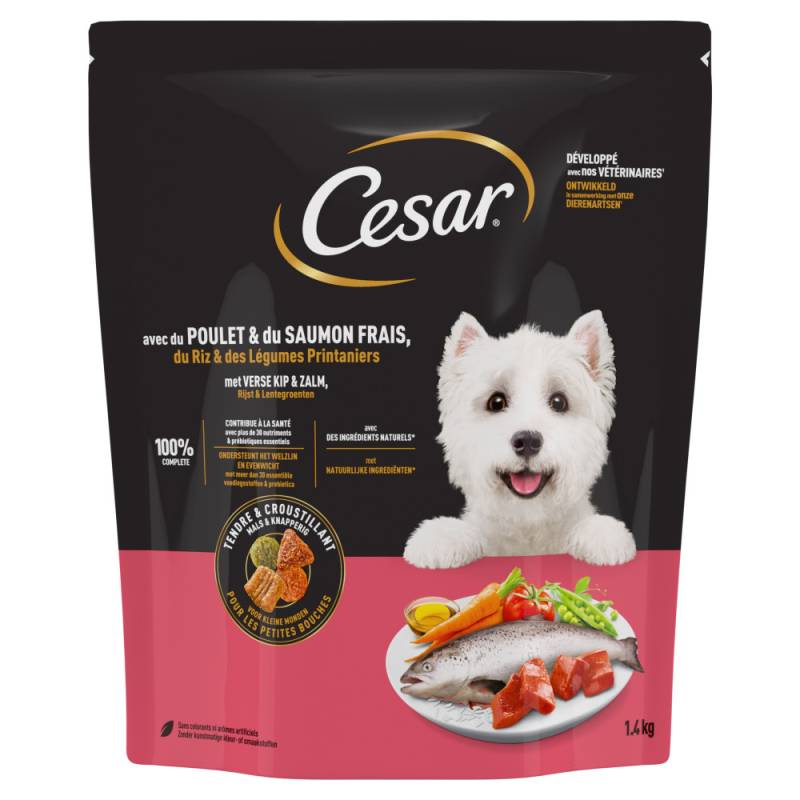 Cesar Adult mit Huhn, Lachs und Gemüse - 1,4 kg Cesar Adult mit Huhn, Lachs und Gemüse - 1,4 kg von Cesar