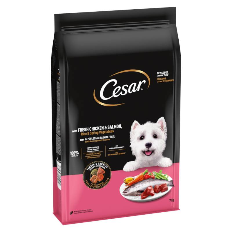 Cesar Adult mit Huhn, Lachs und Gemüse - Sparpaket: 2 x 7 kg von Cesar