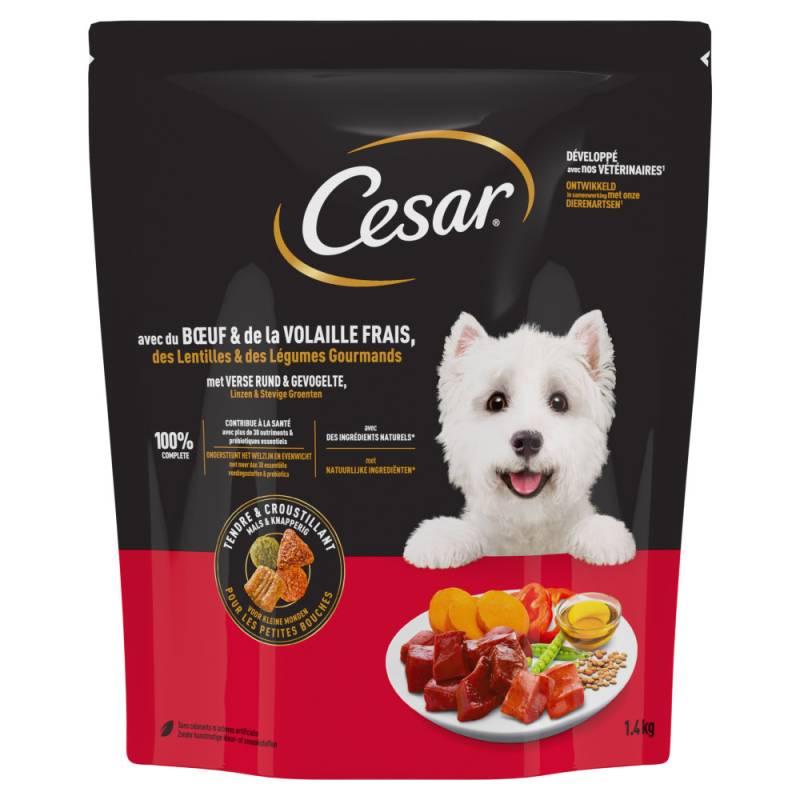 Cesar Adult mit Rind, Geflügel und Gemüse - Sparpaket: 2 x 1,4 kg Cesar Adult mit Rind, Geflügel und Gemüse - Sparpaket: 2 x 1,4 kg von Cesar
