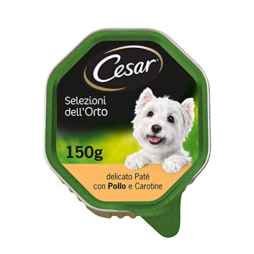 Cesar Auswahl des Gemüsegartens Hundefutter mit Huhn, Karotten und Kräutern der Provence, 14 x 150 g Cesar Auswahl des Gemüsegartens Hundefutter mit Huhn, Karotten und Kräutern der Provence, 14 x 150 g von Cesar