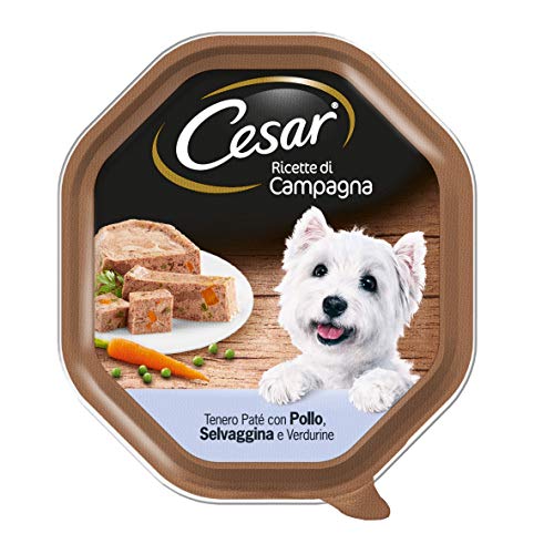 Cesar Auswahl des Gemüsegartens Hundefutter mit Wild, Huhn und Gemüse 150 g, 14 Tabletten von Cesar
