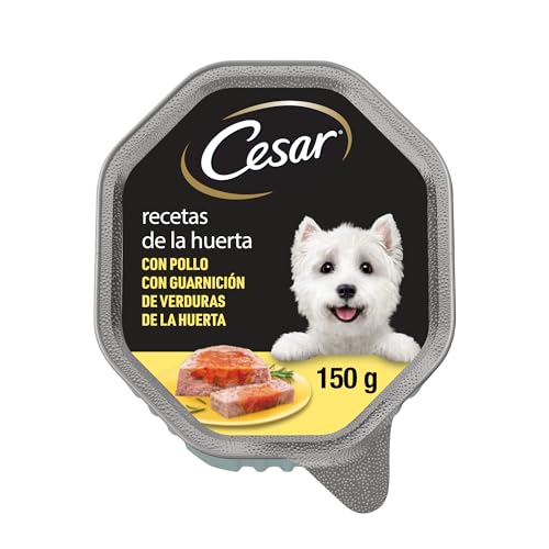 Cesar Behälter für Nassfutter für Hunde in Pastete und Gelee, Rezepte aus dem Garten (150 g) von Cesar
