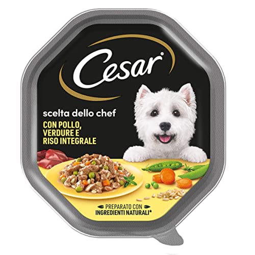 Cesar Chef Hundefutter, Köstlichkeiten der Saison, 150 g - 14 Dosen von Cesar