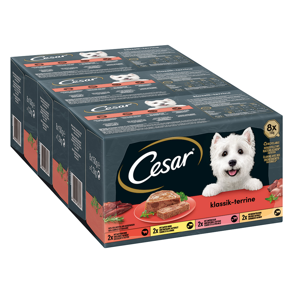 Cesar Classic Selection Mixkarton - Classic Terrine (24 x 150 g) von Cesar
