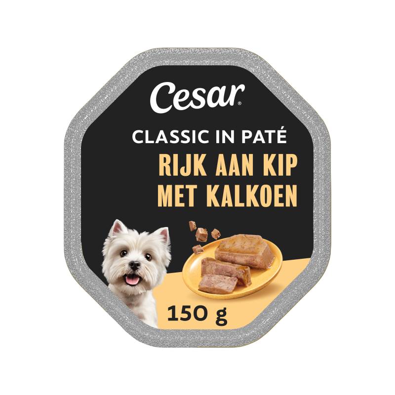 Cesar Classic in Pastete - Lamm und Pute - 14 x 150 g von Cesar